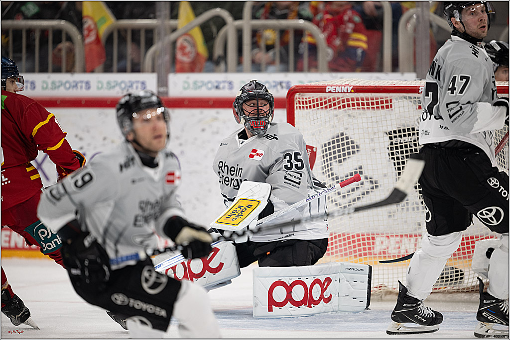 PENNY DEL 1; Düsseldorfer EG - Kölner Haie; Düsseldorf, 24.01.2025